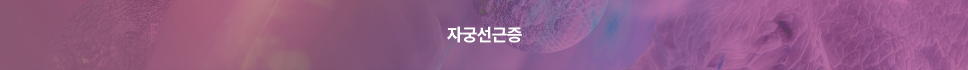 서브상단이미지