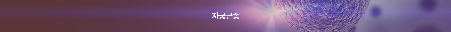 서브상단이미지